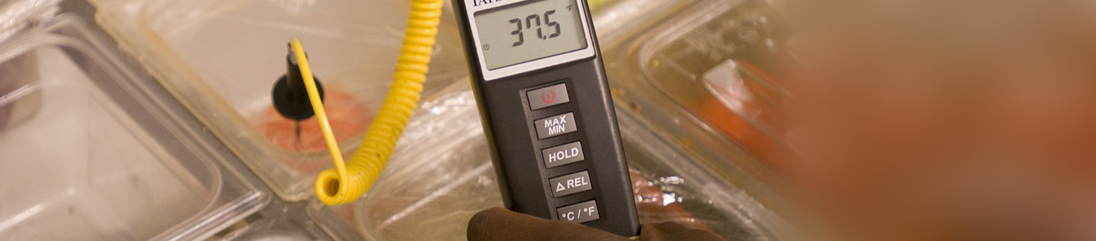 Photo of a person checking food's temperature